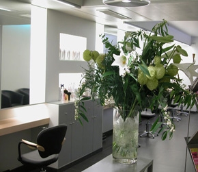 Coiffure Francis-Anne